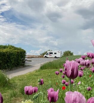 Wohnmobilstellplätze auf dem Weingut Schönbrunn | Erlenbach | HeilbronnerLand