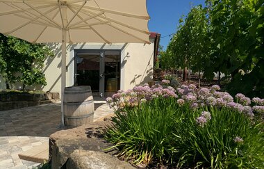 Außenbereich Weingut Schönbrunn | Erlenbach | HeilbronnerLand
