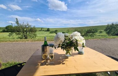 Ausblick Weingut Sommer