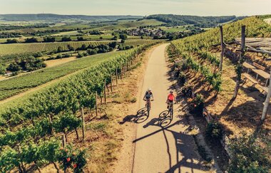 Weinsüden Weinort Brackenheim am Württemberger Weinradweg | HeilbronnerLand