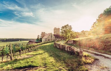 Blick auf Burg Neipperg im Zabergäu | HeilbronnerLand