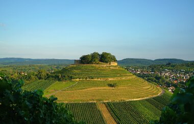 Burgruine Weibertreu | Weinsberg | HeilbronnerLand