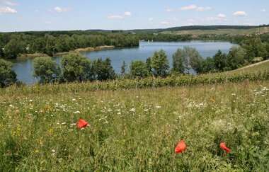 Breitenauer See - Naherholungsgebiet & Badesee | Weinsberger Tal | HeilbronnerLand