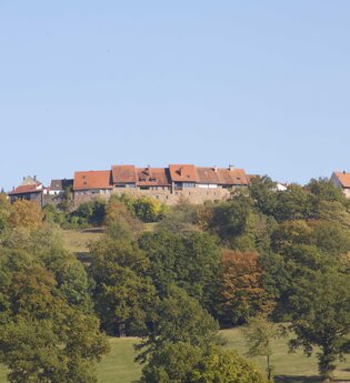Blick auf das historische Örtchen Dilsberg