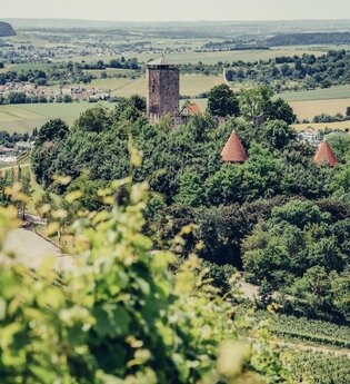 Burg Hohenbeilstein | HeilbronnerLand