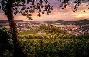 Blick vom Fohlenberg auf Burg Hohenbeilstein | HeilbronnerLand