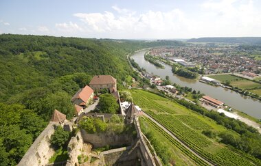 Blick von Burg Hornberg ins Neckartal