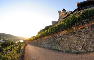 Sonnenuntergang an der Burg Hornberg / Odenwald