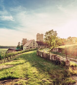 Blick auf Burg Neipperg im Zabergäu | HeilbronnerLand