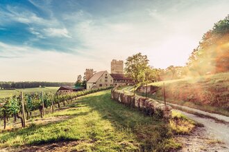 Blick auf Burg Neipperg im Zabergäu | HeilbronnerLand
