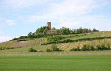 Burg Ravensburg