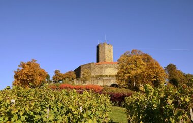 Blick über die Weinberge auf die Burg Steinsberg