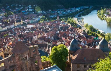 Burg Wertheim