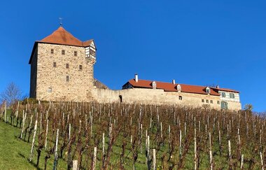 Burg Wildeck | Abstatt | HeilbronnerLand