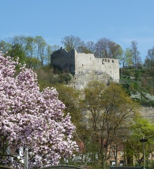 Burgruine Löffelstelz