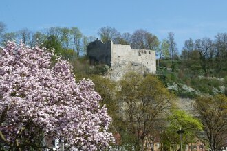 Burgruine Löffelstelz
