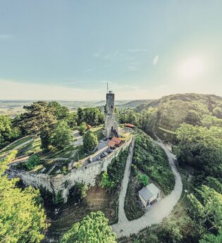 Burgruine Löwenstein | Aussichtsturm HeilbronnerLand