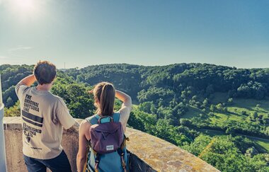 Burgruine Löwenstein | Aussichtsturm HeilbronnerLand