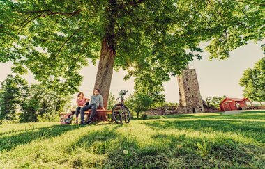 Burgruine Löwenstein | Aussichtsturm HeilbronnerLand
