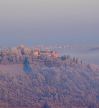 Luftbildaufnahme mit Blick auf die Burg Neuhaus in Igersheim. Die Burg steht auf einem Berg und ist von Wald umgeben. Im Tal ist Nebel zu sehen.