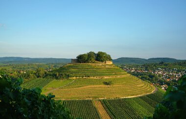 Burgruine Weibertreu | Weinsberg | HeilbronnerLand