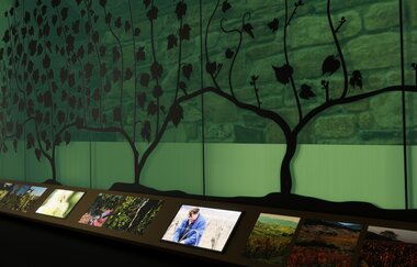 Modellbild der geplanten Ausstellung in der Deutschen Weinwelt | Brackenheim
