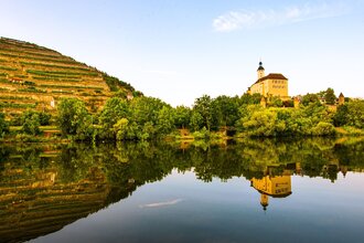 Steillagen-Areal Gundelsheimer Himmelreich | Neckartal | HeilbronnerLand