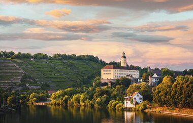 Gundelsheimer Himmelreich & Schloß Horneck im Neckartal | HeilbronnerLand