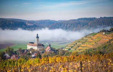 Panorama Schloss Horneck | Gundelsheim | HeilbronnerLand