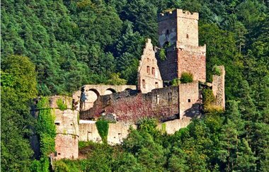 Blick auf die Freudenburg in Freudenberg am Main. Die Burg ist von Wald umgeben.