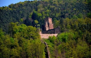 Blick auf die Freudenburg in Freudenberg am Main. Die Burg ist von Wald umgeben.