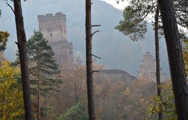 Blick aus dem Wald auf die im Nebel liegende Freudenburg.
