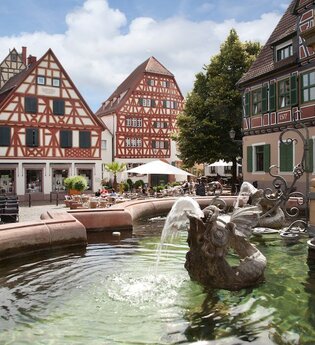 Brunnen und Fachwerkhäuser in Historische Altstadt Ladenburg