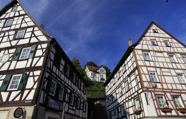 Blick auf den Burgberg Möckmühl | HeilbronnerLand