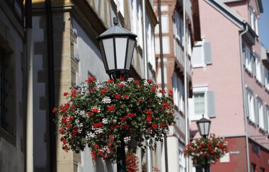Geranien an einer Laterne am Rathaus mit Fachwerk im Hintergrund