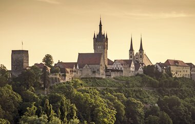 Bad Wimpfen - Stadtsilhouette der größten Kaiserpfalz nördlich der Alpen / Odenwald
