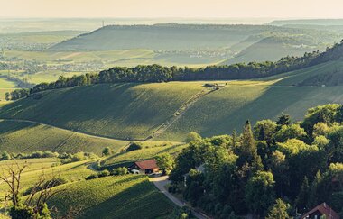 Aussicht von der Burgruine Löwenstein | Blick über den Naturpark Schwäbisch-Fränkischer Wald | HeilbronnerLand