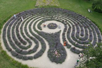 Lavendellabyrinth im Salinenpark