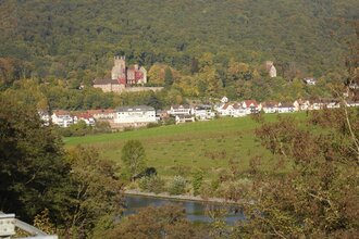 Blick auf die Vierburgenstadt Neckarsteinach