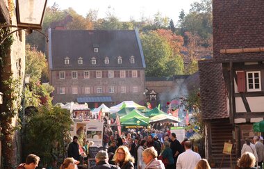 Naturpark Stromberg-Heuchelberg
