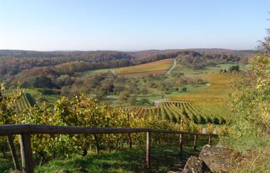 Auenberg Sternenfels - Naturpark Stromberg-Heuchelberg
