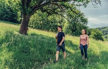 Löwensteiner Bergtouren | Geführte Wanderungen im Naturpark Schwäbisch-Fränkischer Wald | HeilbronnerLand