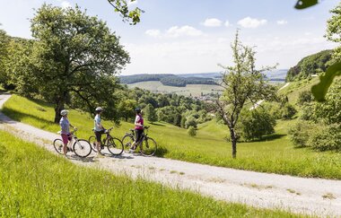 Löwensteiner Berge im Naturpark Schwäbisch-Fränkischer Wald | HeilbronnerLand