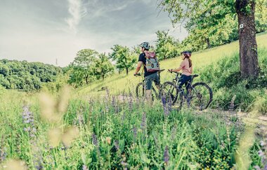 Naturparktouren HeilbronnerLand - Radfahren im Naturpark Schwäbisch-Fränkischer Wald | Sauklinge Löwenstein