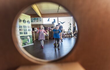 Ausstellung im Naturparkzentrum Stromberg-Heuchelberg | HeilbronnerLand