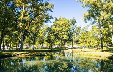 Ein ruhiger Park mit einem kleinen Teich, umgeben von hohen Bäumen unter einem klaren blauen Himmel.