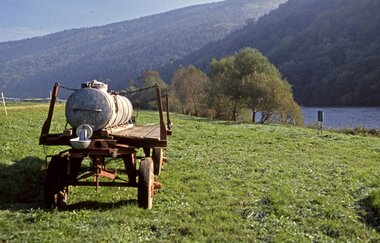 Viehtränke auf grüner Wiese im Vordergrund. Im Hintergrund der ruhig fließende Neckar entlang von bewaldeten Berghügeln, die bis zum Ufer reichen.