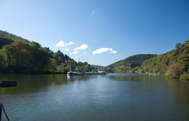 Blick auf den ruhig fließenden Neckar im Vordergrund. In der Mitte ist ein Frachtschiff erkennbar. Beide hügeligen Uferseiten sind bis an das Ufer bewaldet.