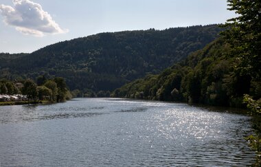 Im Vordergrund der ruhig fließende Neckar mit bewaldeten und hügeligen Wäldern an beiden Uferseiten im Hintergrund.