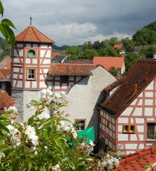 Blick auf das im Fachwerkstil errichtete Romschlössle. Im Vordergrund sind Rosen des dazugehörigen Rosengartens zu sehen.